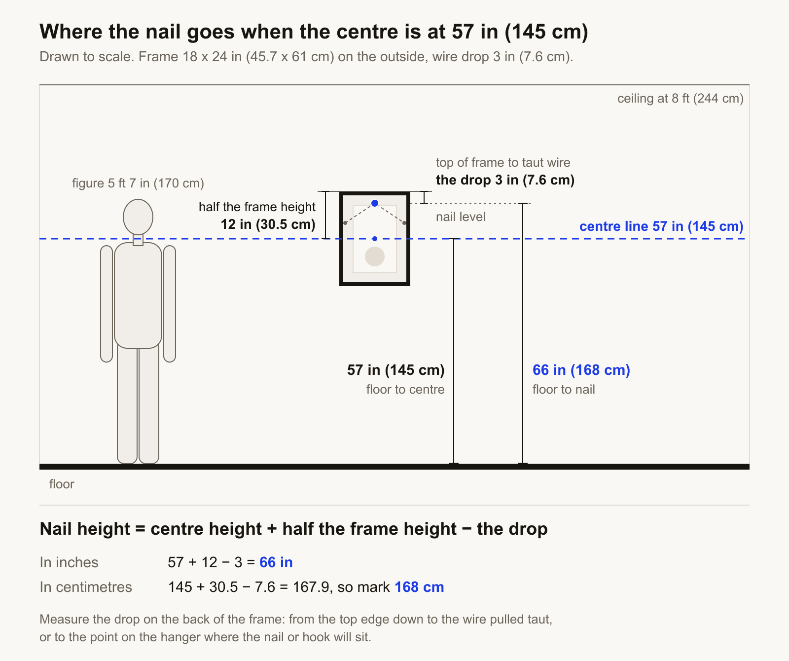 Scale drawing of a wall with an 8 ft (244 cm) ceiling. A frame 18 x 24 in (45.7 x 61 cm) hangs with its centre on a line 57 in (145 cm) above the floor, beside a standing figure 5 ft 7 in (170 cm) tall for scale. The nail is 66 in (168 cm) above the floor: 57 in, plus half the frame height of 12 in (30.5 cm), minus the 3 in (7.6 cm) drop of the taut wire.