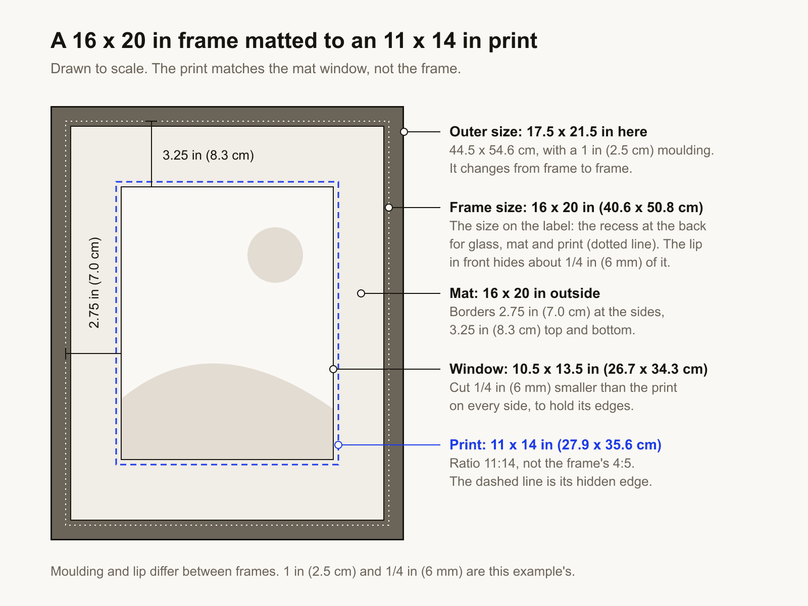 A 16 x 20 in (40.6 x 50.8 cm) frame drawn to scale with a mat. The mat window is 10.5 x 13.5 in (26.7 x 34.3 cm) and an 11 x 14 in (27.9 x 35.6 cm) print sits behind it, overlapped by 1/4 in (6 mm) on every side. Mat borders are 2.75 in (7.0 cm) at the sides and 3.25 in (8.3 cm) top and bottom. With a 1 in (2.5 cm) moulding the outer size in this example is 17.5 x 21.5 in (44.5 x 54.6 cm).